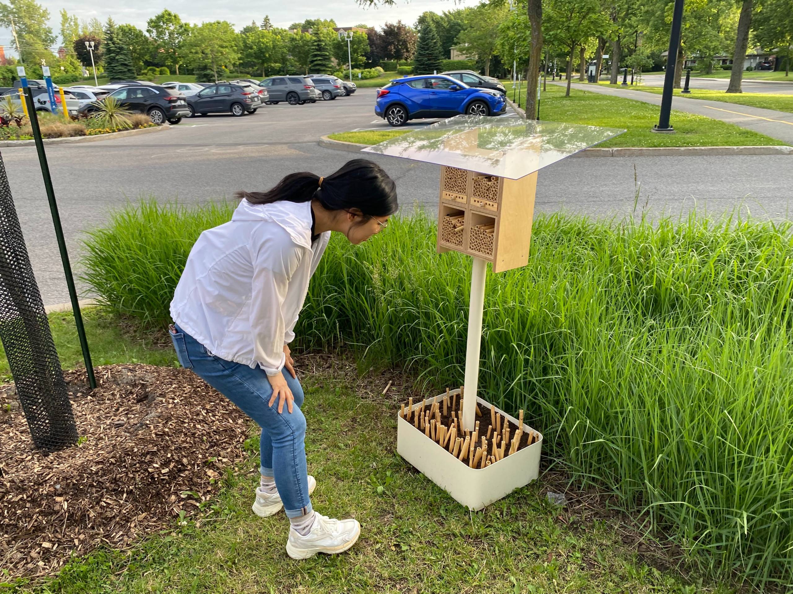 Candiac : des hôtels à abeilles pour une meilleure biodiversité