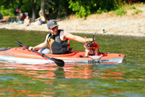Les gilets de sauvetage, c&rsquo;est aussi pour les chiens !