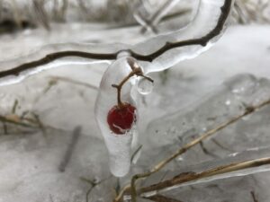 EN VIDÉO – Le bord du lac Saint-Louis resplendit (bis)