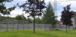 SEPTEMBRE 2020 : Des parcs canins créent tout un émoi à La Prairie