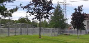 Parcs canins : La Prairie mise en demeure par des citoyens