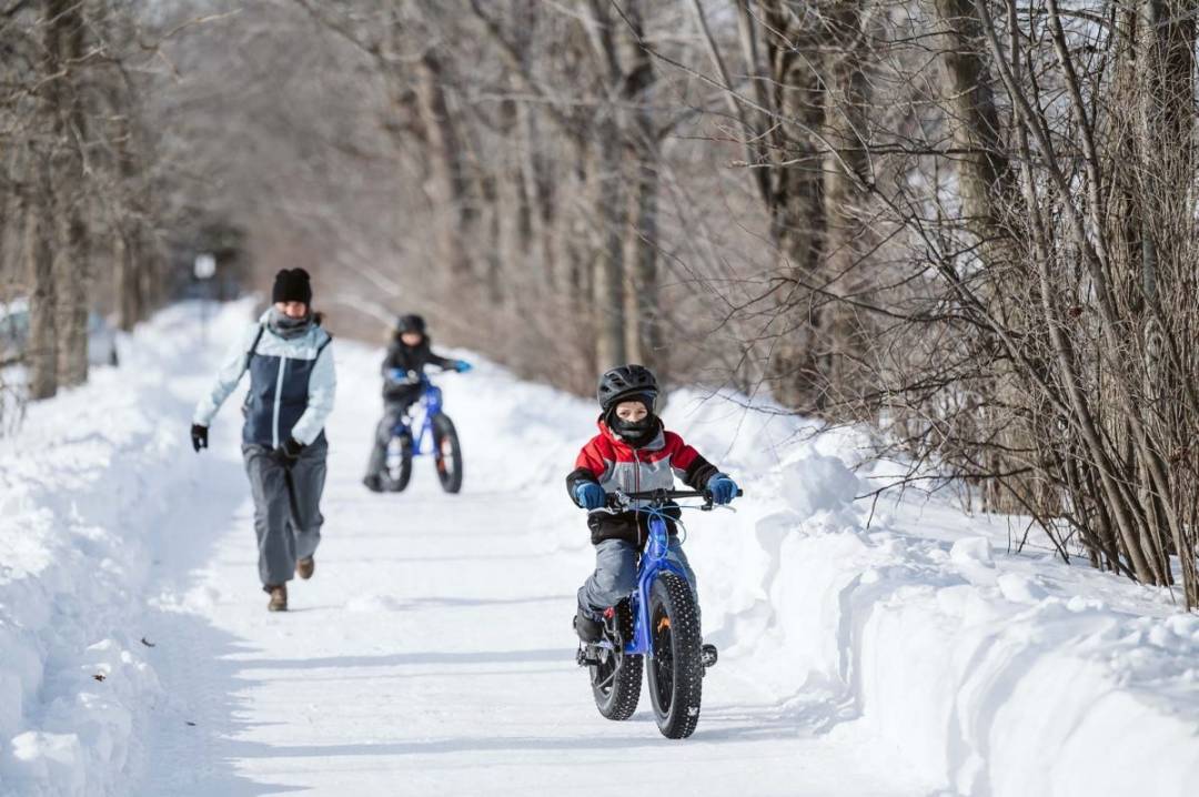 Une 36e finale locale de Cégeps en spectacle au Cégep de Valleyfield