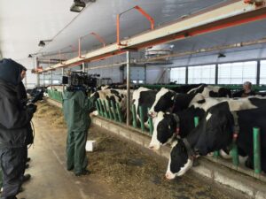 Des producteurs de la région dans une pub pour une chaîne d&rsquo;épiceries