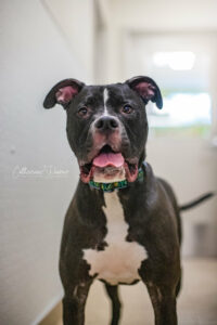 Ozzy, la vedette de la semaine