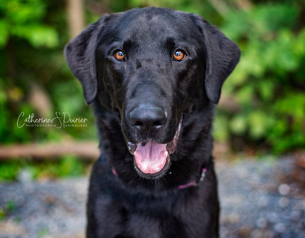 Twister, la vedette de la semaine