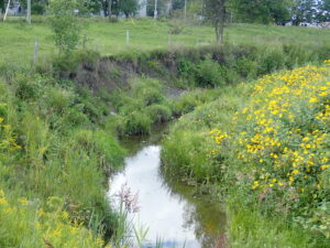 Un organisme veut prévenir l’érosion des sols le long de la rivière Saint-Régis
