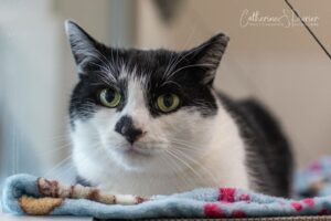 Près de 15 000 clients sans électricité