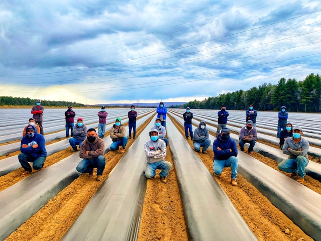 L’UPA réclame un dépistage plus rapide pour les travailleurs étrangers