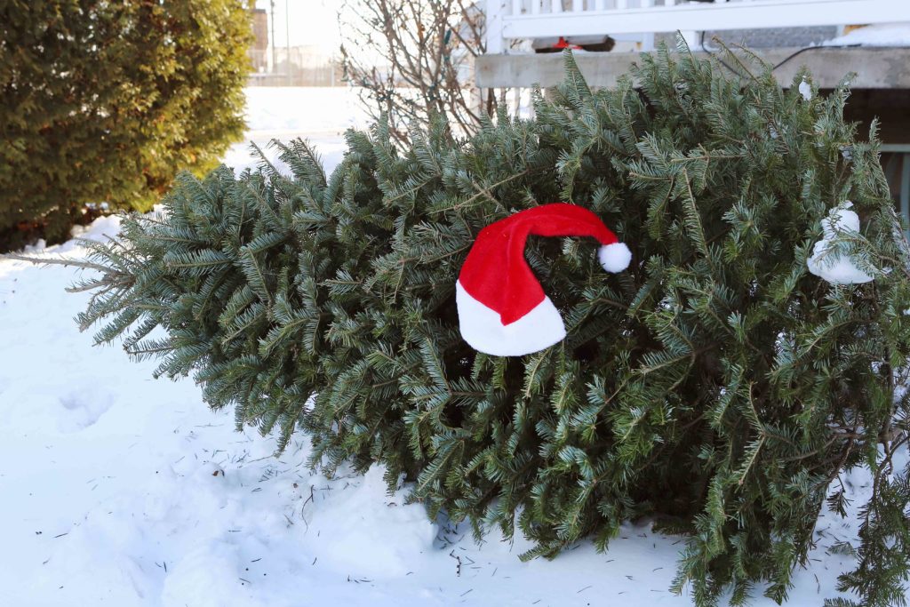 Plusieurs façons de recycler son temps des Fêtes