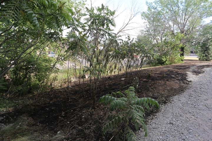 Arrestation après un incendie de gazon à Sainte-Catherine