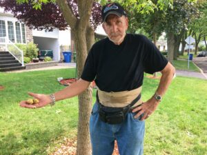 Un résident de Candiac souhaite que la Ville abatte l’arbre qu’elle a planté