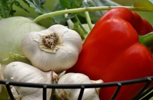 Des paniers de légumes bios offerts cet hiver à La Prairie