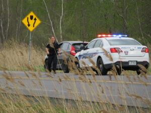 Collision avec un chevreuil