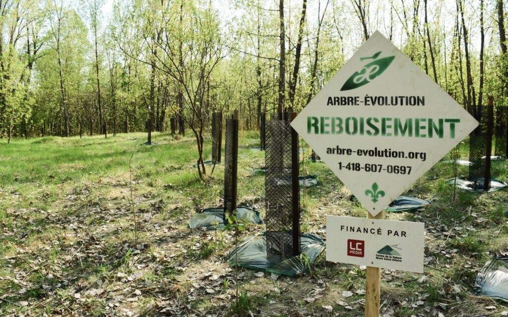 Le Guide de l’auto s’engage dans le reboisement social