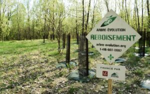 Le Guide de l’auto s’engage dans le reboisement social