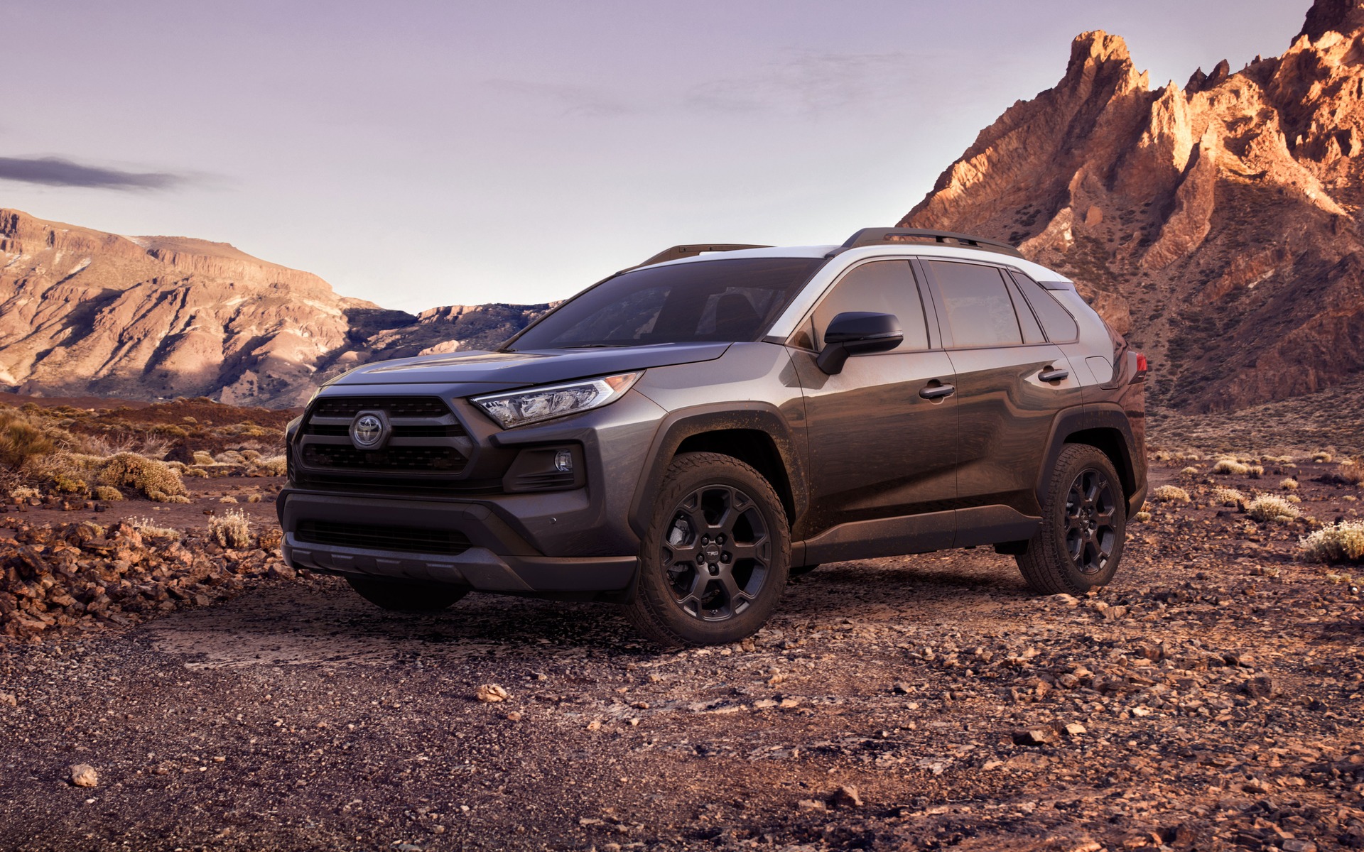 Découvrez le Toyota RAV4 TRD Off-Road 2020