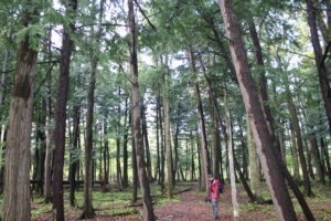 Les citoyens consultés sur l&rsquo;avenir du corridor vert Châteauguay-Léry