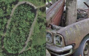 Le circuit Champion Speedway : la résurrection est-elle possible?