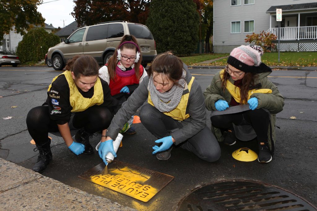 Suivre la route des poissons jaunes pour l’environnement