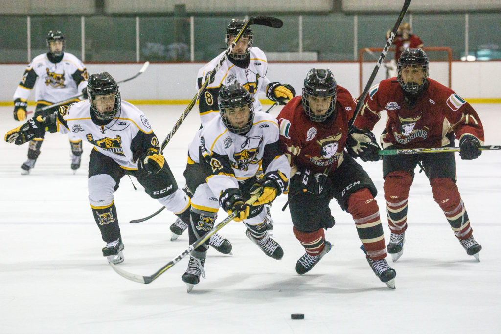 Fenplast s’associe avec la LHJMQ en vue du repêchage