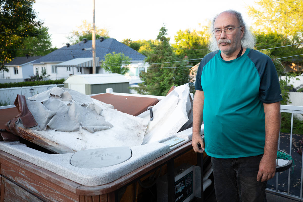 Envahi par les ratons laveurs