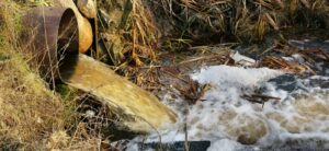 Les déversements d’eaux usées élevés dans la région, selon une fondation
