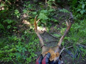 Des objets inusités sortis d’un ruisseau nettoyé