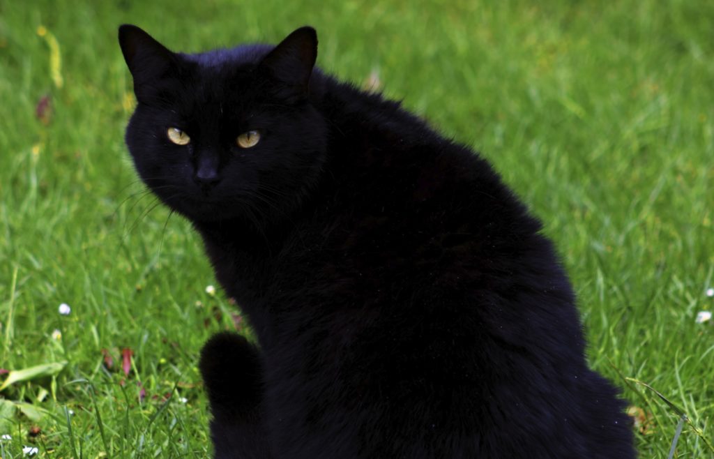 D&rsquo;où vient le vendredi 13?