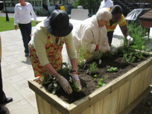 Société Alzheimer Rive-Sud : aider le plus grand nombre malgré la pandémie