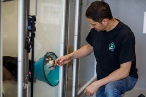 Quand adopter un chien devient un processus éprouvant