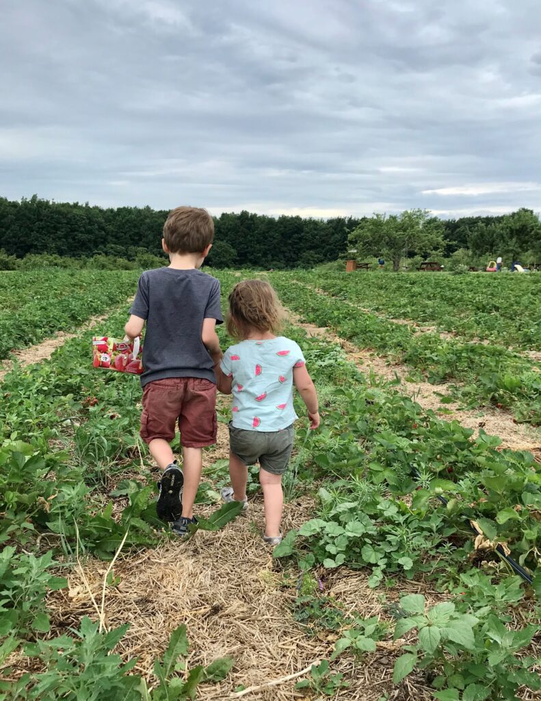 Renouer avec les producteurs régionaux