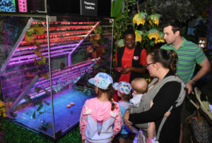 Bfly : une toute nouvelle expérience en soirée