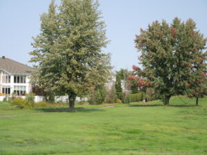 Candiac entame sa consultation publique sur l’avenir de l’ancien terrain de golf