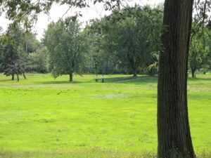 Ancien golf de Candiac : c’est le temps de s’inscrire à la séance d’information de la Ville