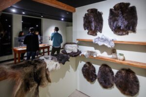 Le Musée d’archéologie plonge dans la fondation de La Prairie