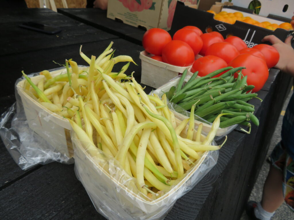 Forcé de démonter son kiosque après une erreur de la Ville de Candiac