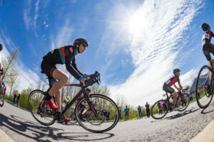 La MRC de Roussillon planche sur le prolongement de la Route verte
