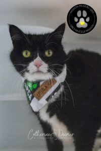 Lulu, la vedette de la semaine