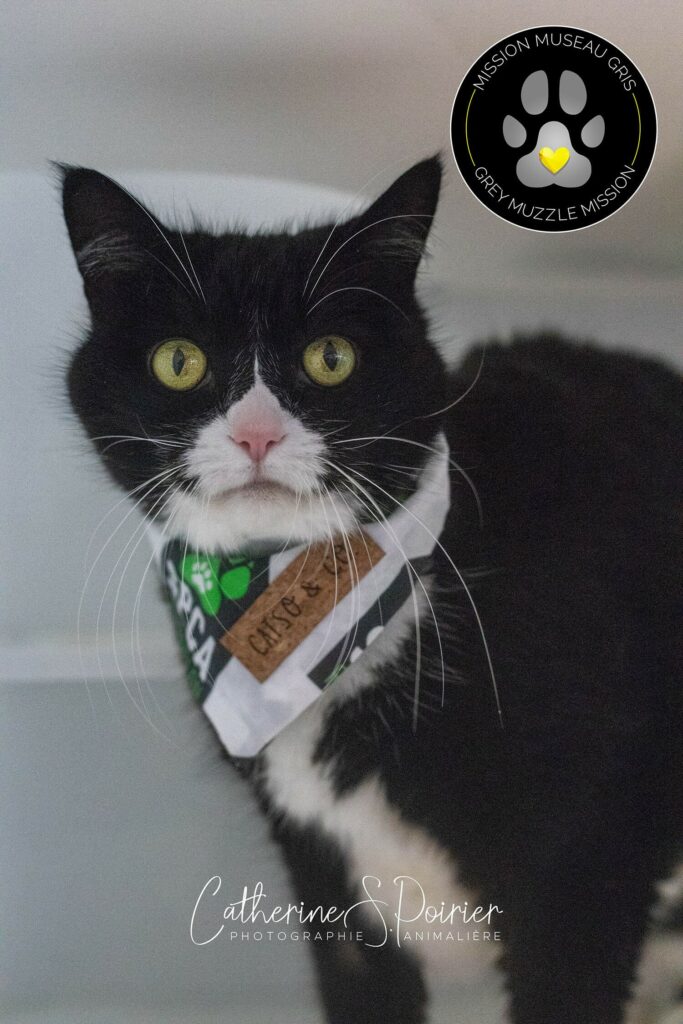 Lulu, la vedette de la semaine