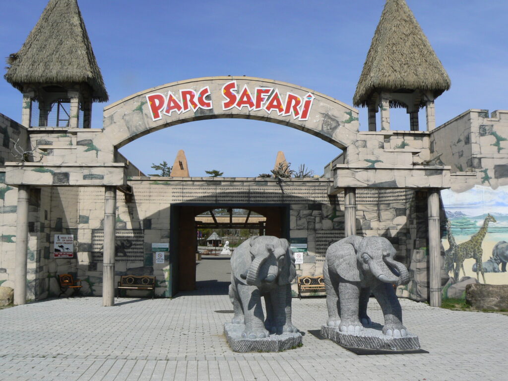 Une visite au Parc Safari dans le confort de son foyer