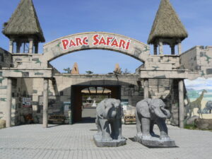 Une visite au Parc Safari dans le confort de son foyer