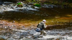 Le meilleur parcours de pêche à la truite au Centre-du-Québec