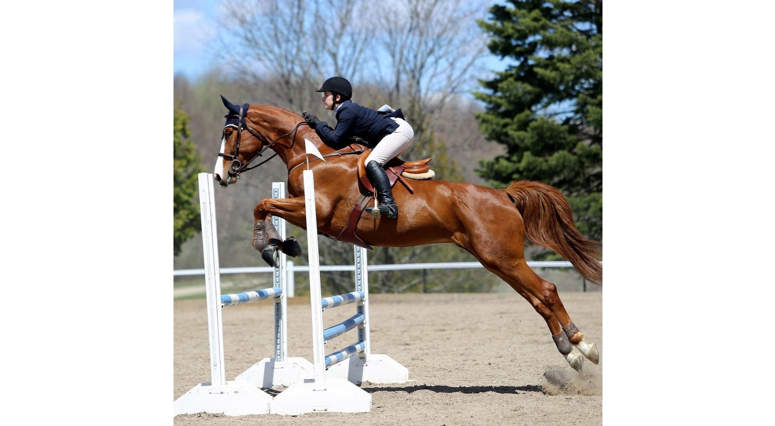 Une cavalière de Candiac termine sa saison avec les honneurs