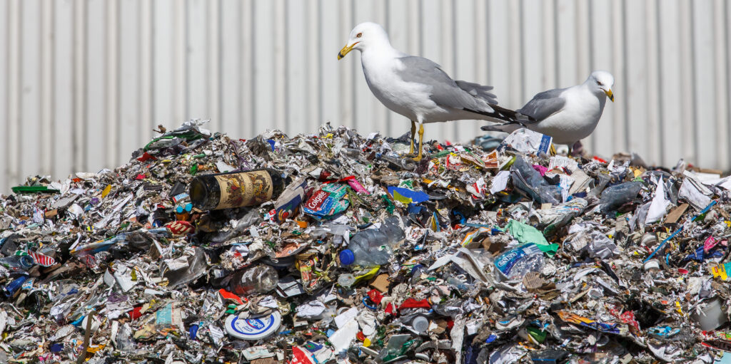 Un jeudi ensoleillé