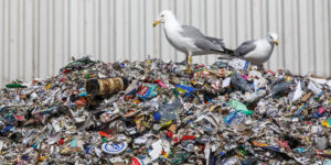 Un jeudi ensoleillé