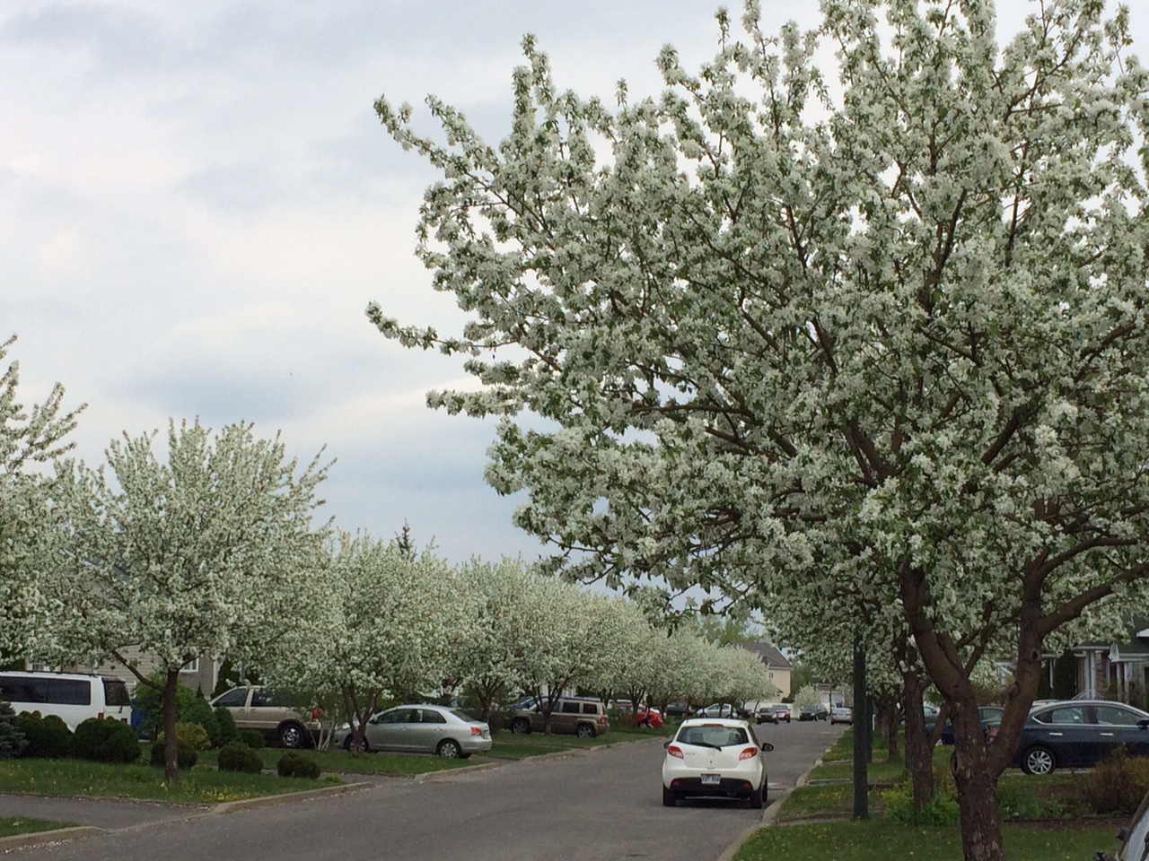 Au lendemain de l&rsquo;élimination des Canadiens