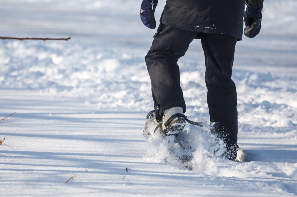 De la location d&rsquo;équipement à l’année au RécréoParc
