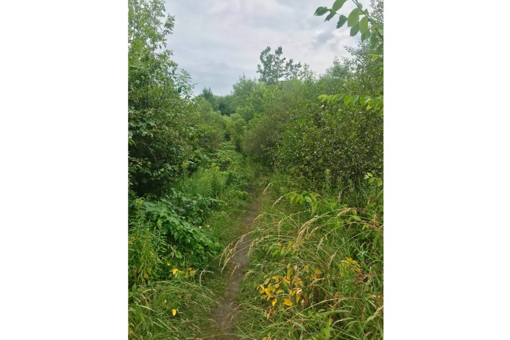 La Prairie limitée dans l’entretien des sentiers du parc de conservation