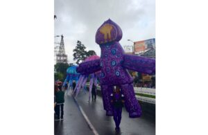 D’étranges créatures en visite en Colombie