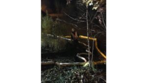 Nettoyage à la suite d’un déversement d’huile